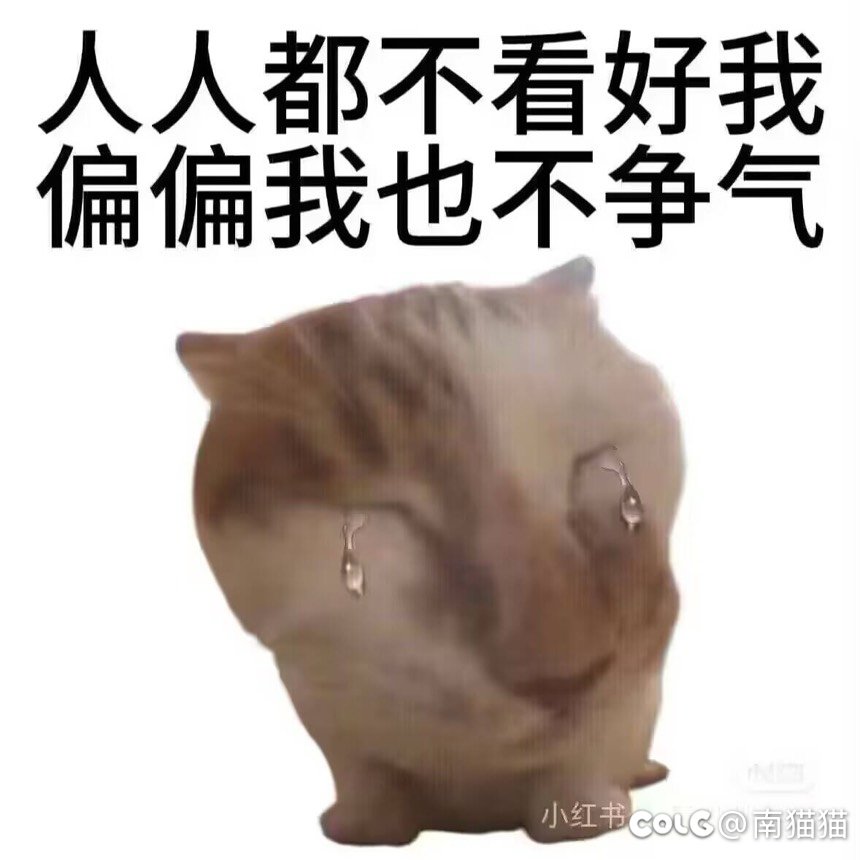 7.3终于打过了雾岚3