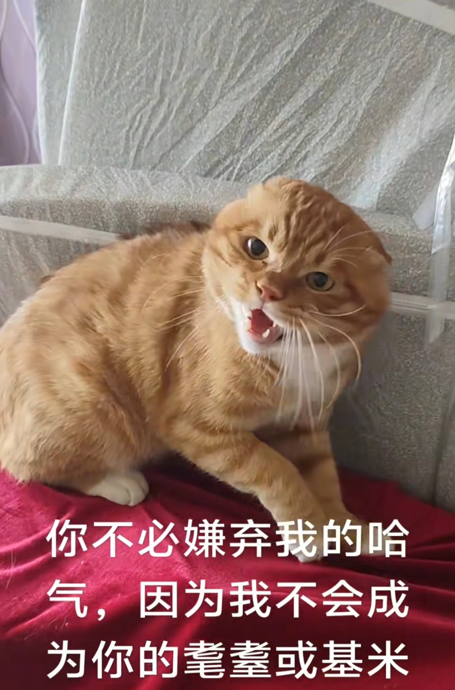 事实上这个版本的金币仍旧是越来越多的。1