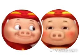 猪猪侠难道不可爱？怎么会不喜欢5