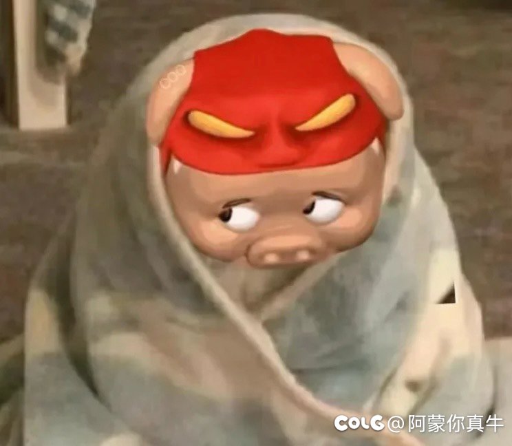 猪猪侠难道不可爱？怎么会不喜欢7