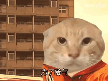 最近有起号活动吗1