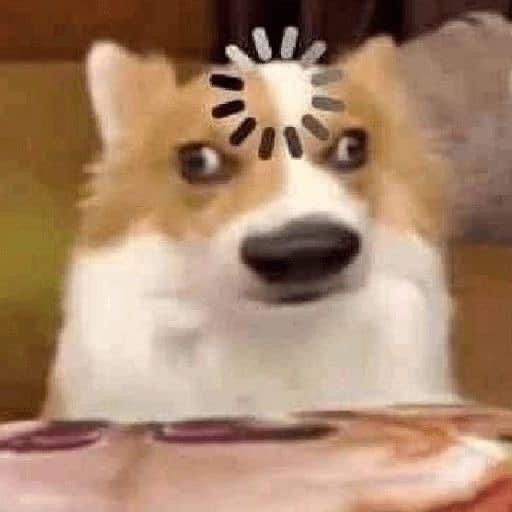 频道全变拥挤了，都给我掉1