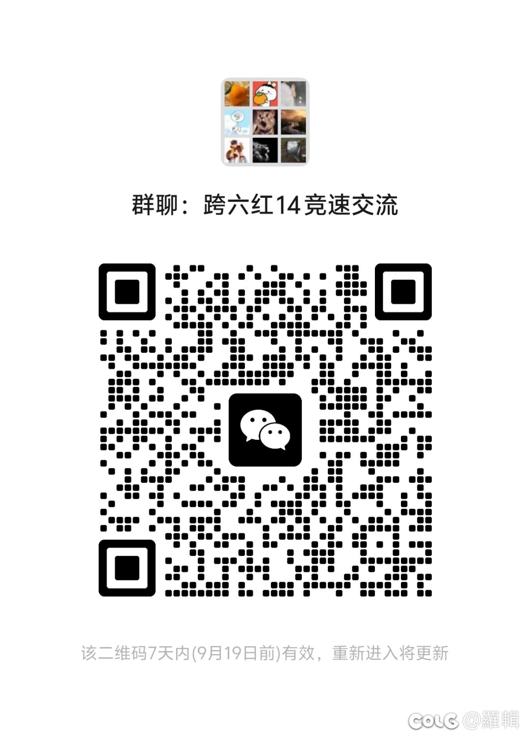 跨六红14竞速交流群1