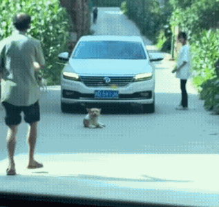 说起来这次雾岚黄昏战是周几刷新次数1