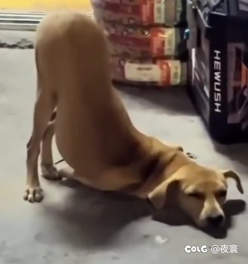 说起来这次雾岚黄昏战是周几刷新次数3