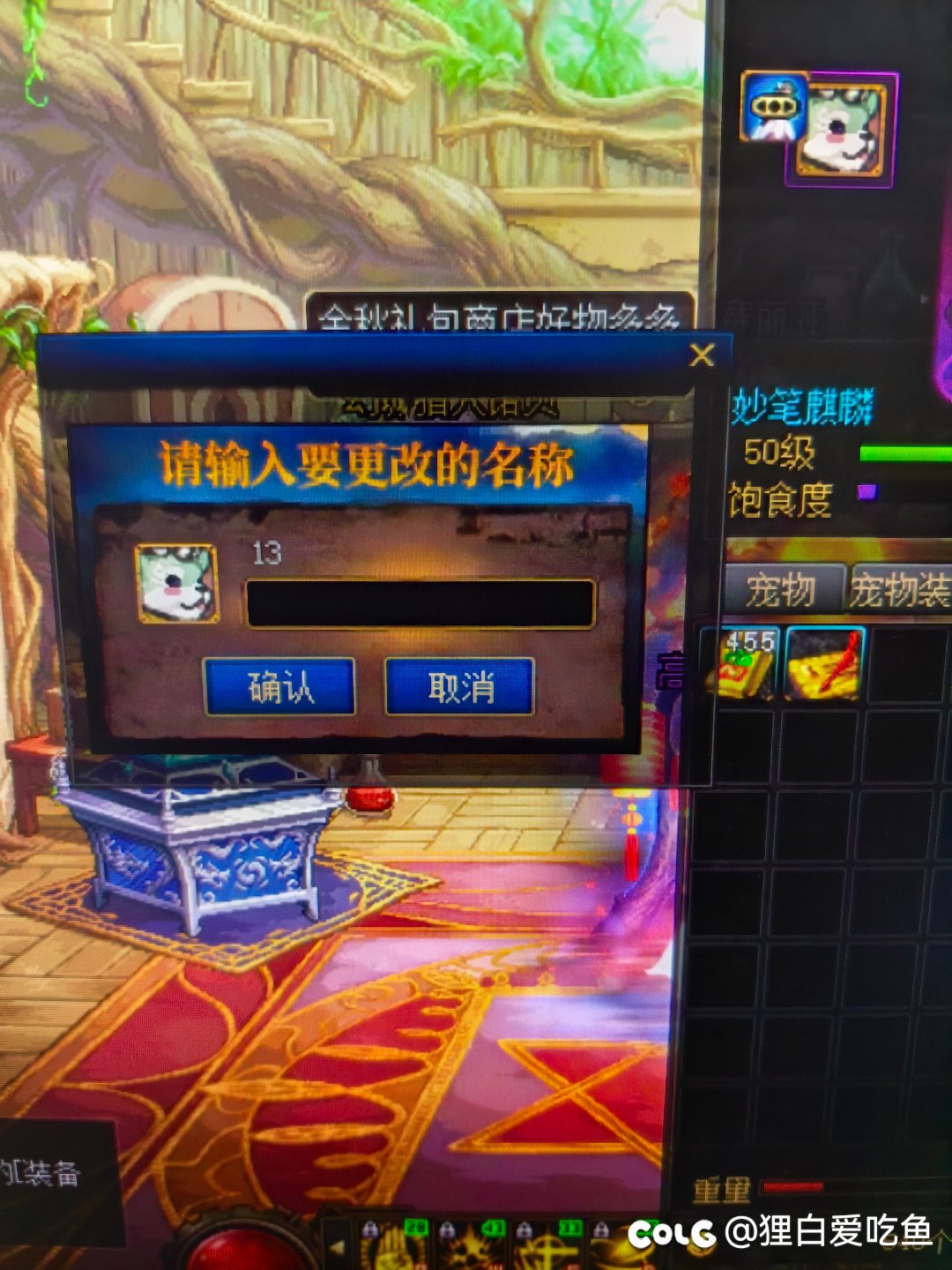 宠物名字更改（已解决）1