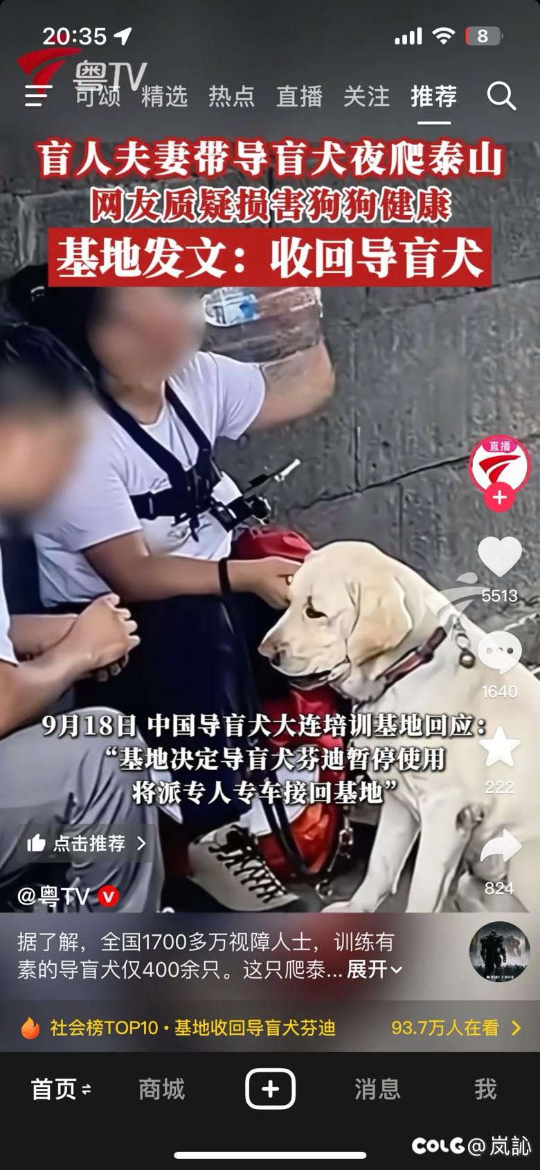 这是我第一次在网上看到真的导盲犬1