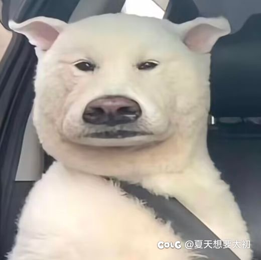 跨5小团体收人。1