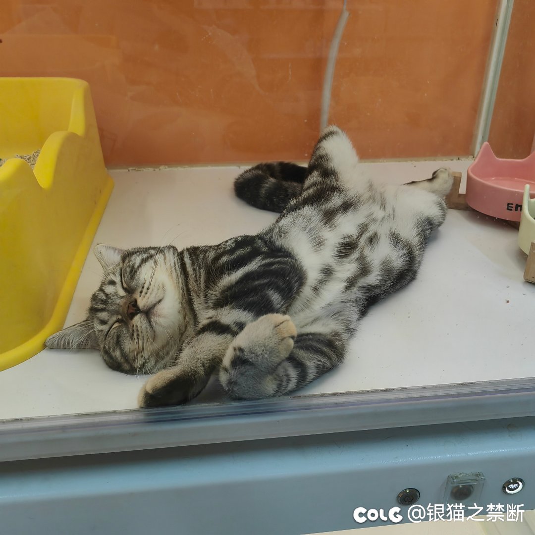 干脆以后中秋礼包第一套免费吧1