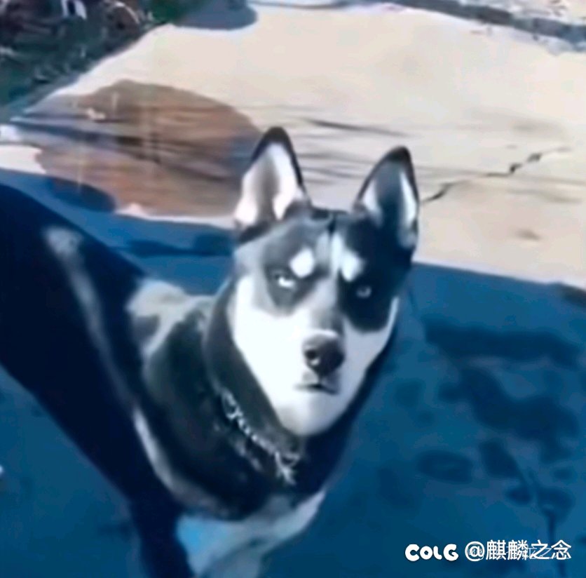 开盒子增幅结果1