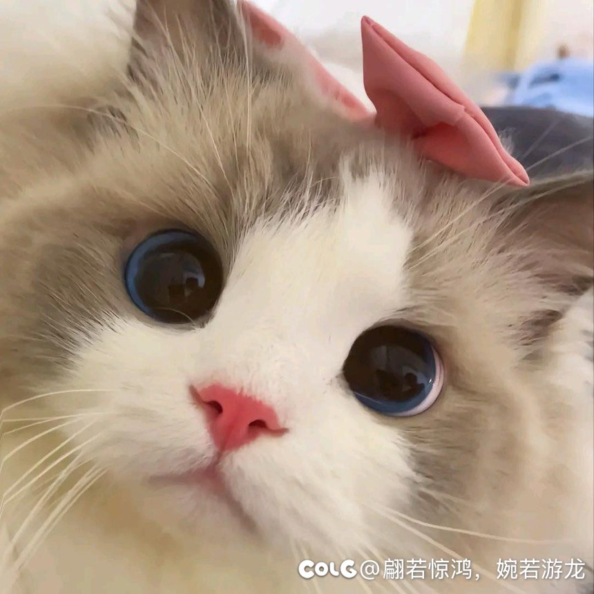 策划明年转职书鬼剑士可以放开外传转职吗1