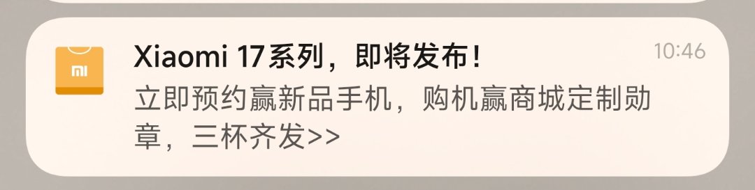小米17本月见1