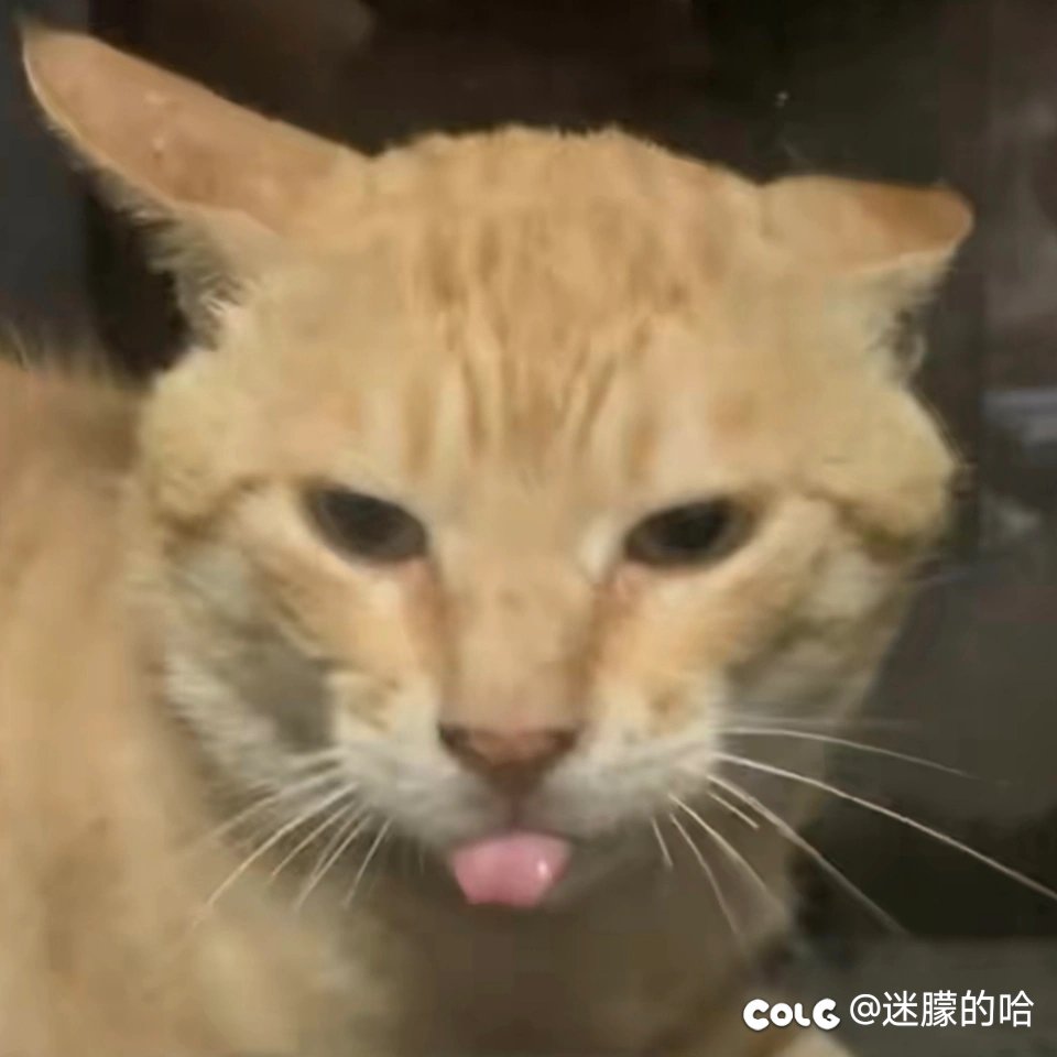 这波是盼了七年等到了2
