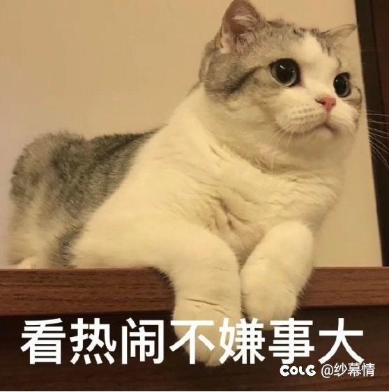 8.4维纳斯双开带5.0小号刷回归积分1
