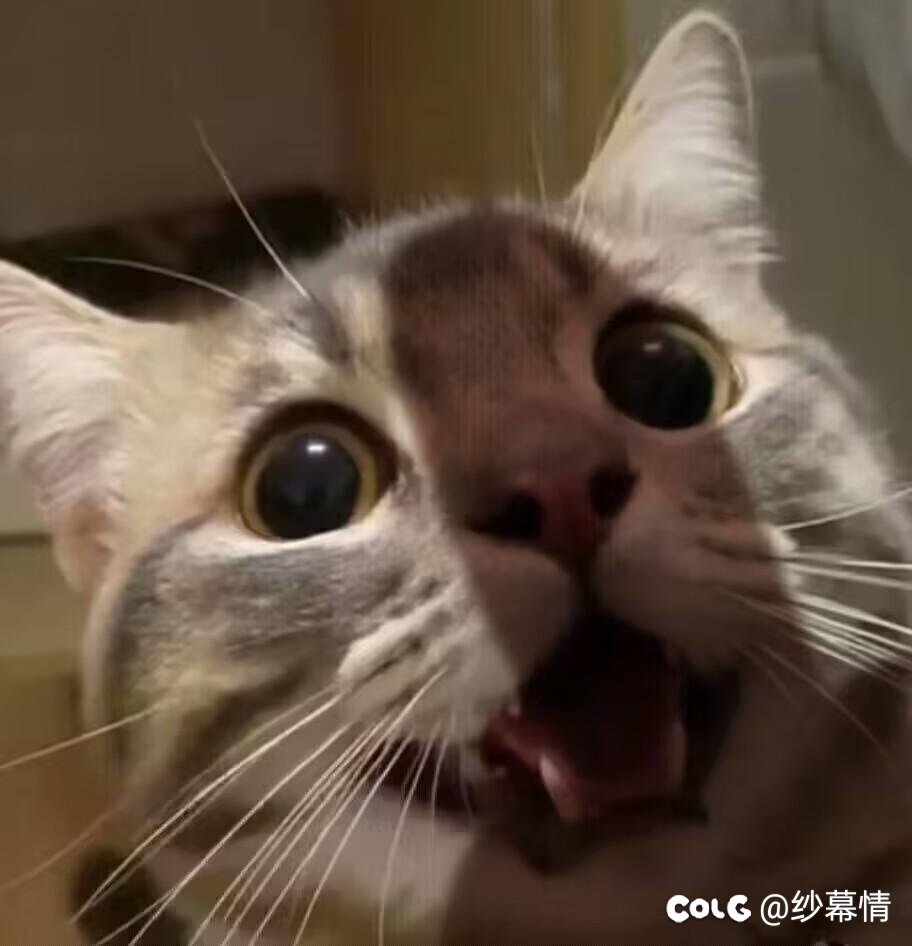 剑宗传世跨界什么1
