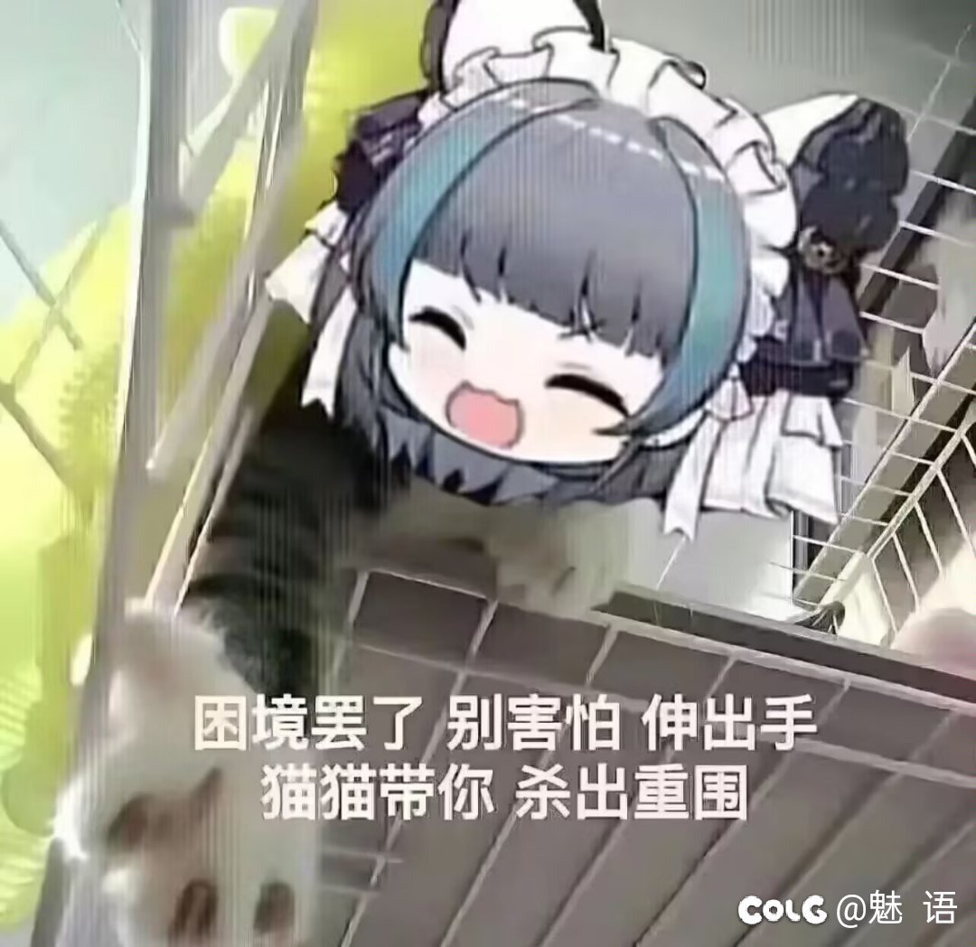 吃瓜吃到连续剧了5