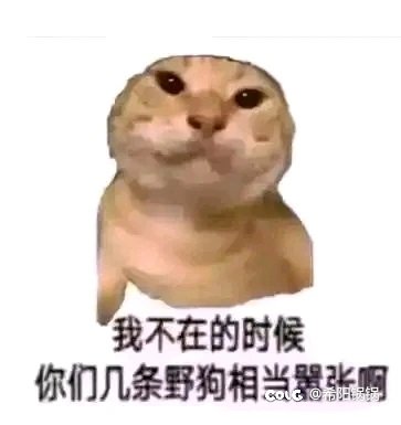 狠狠带上猪猪侠头套2