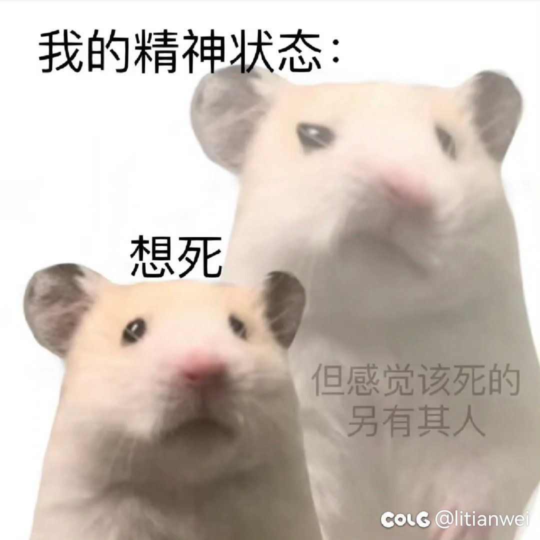 悲。大号第一个3件套，皇室精灵3