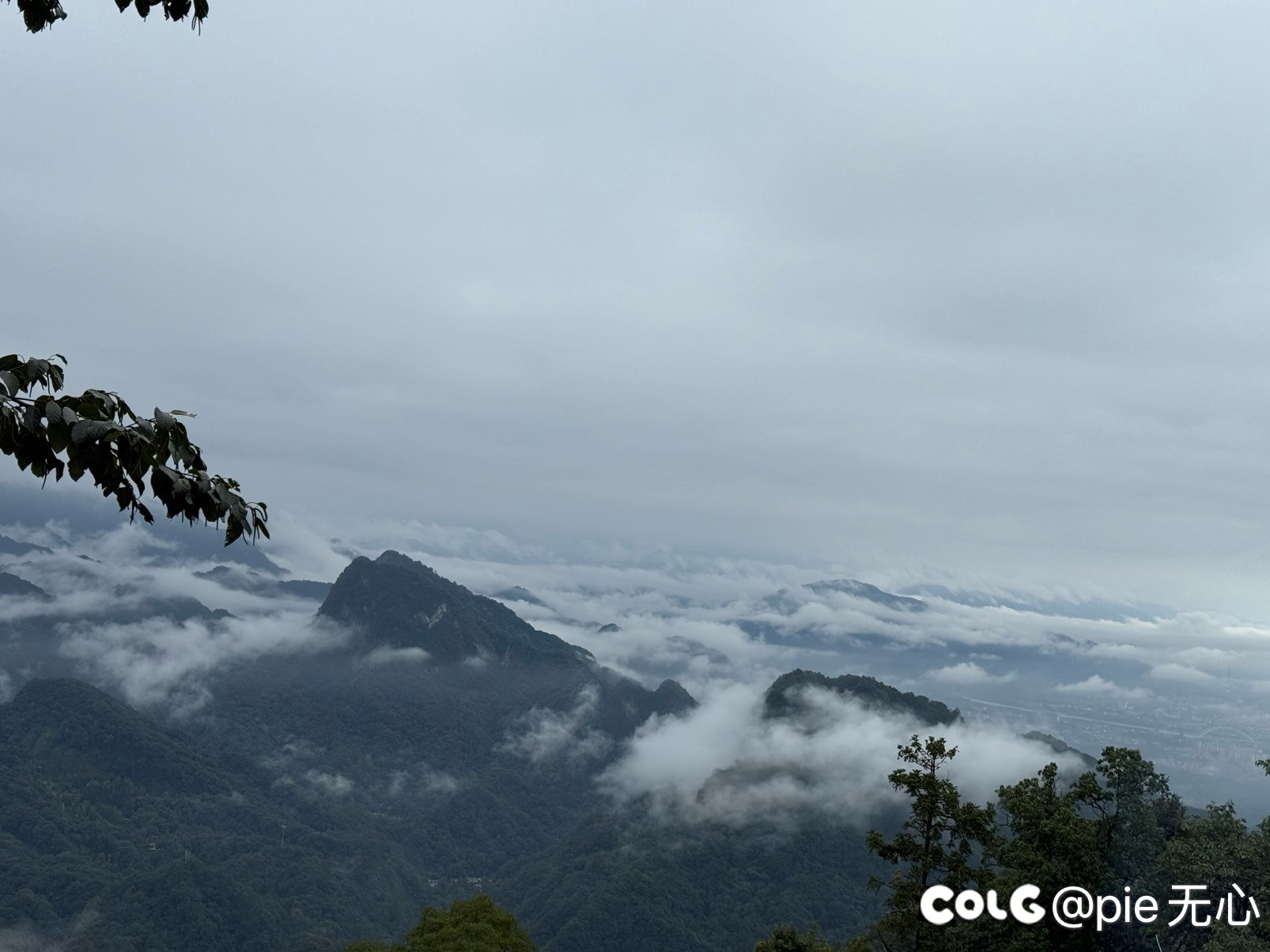 拜水都江堰，问道青城山6