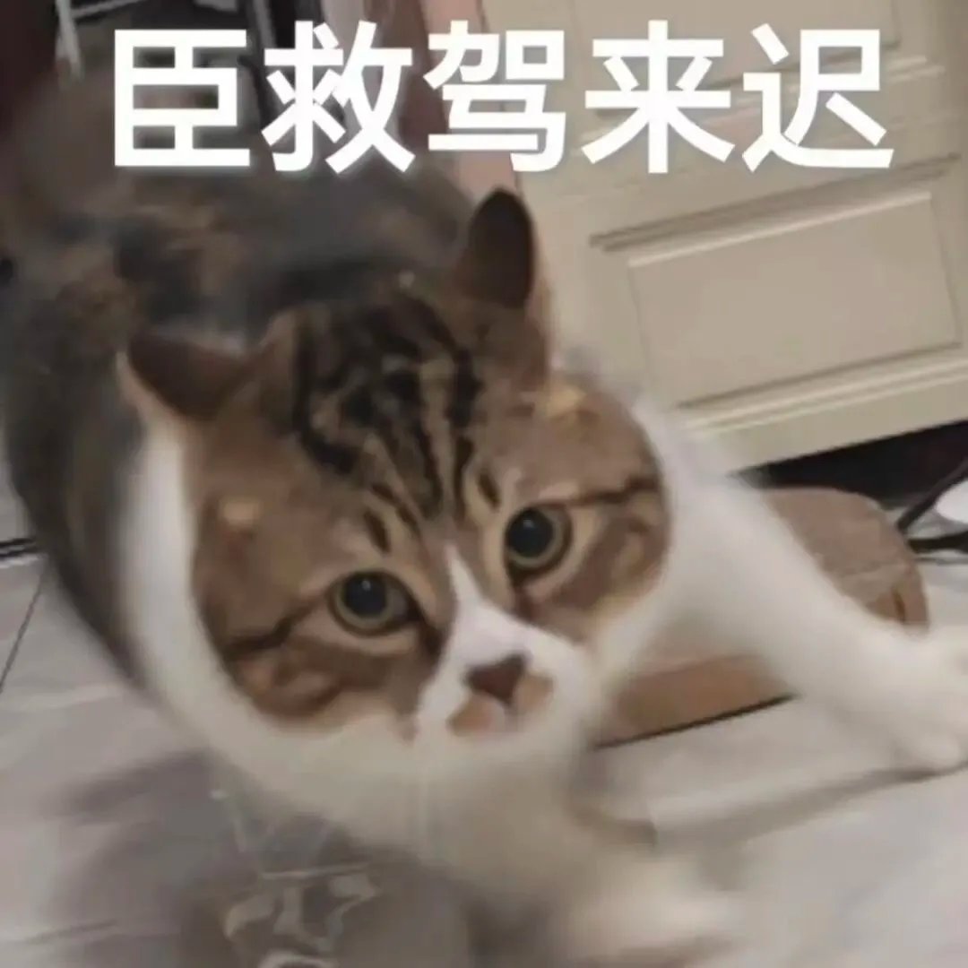 csgo存在交易市场官方这么搞怎么没人骂官方1