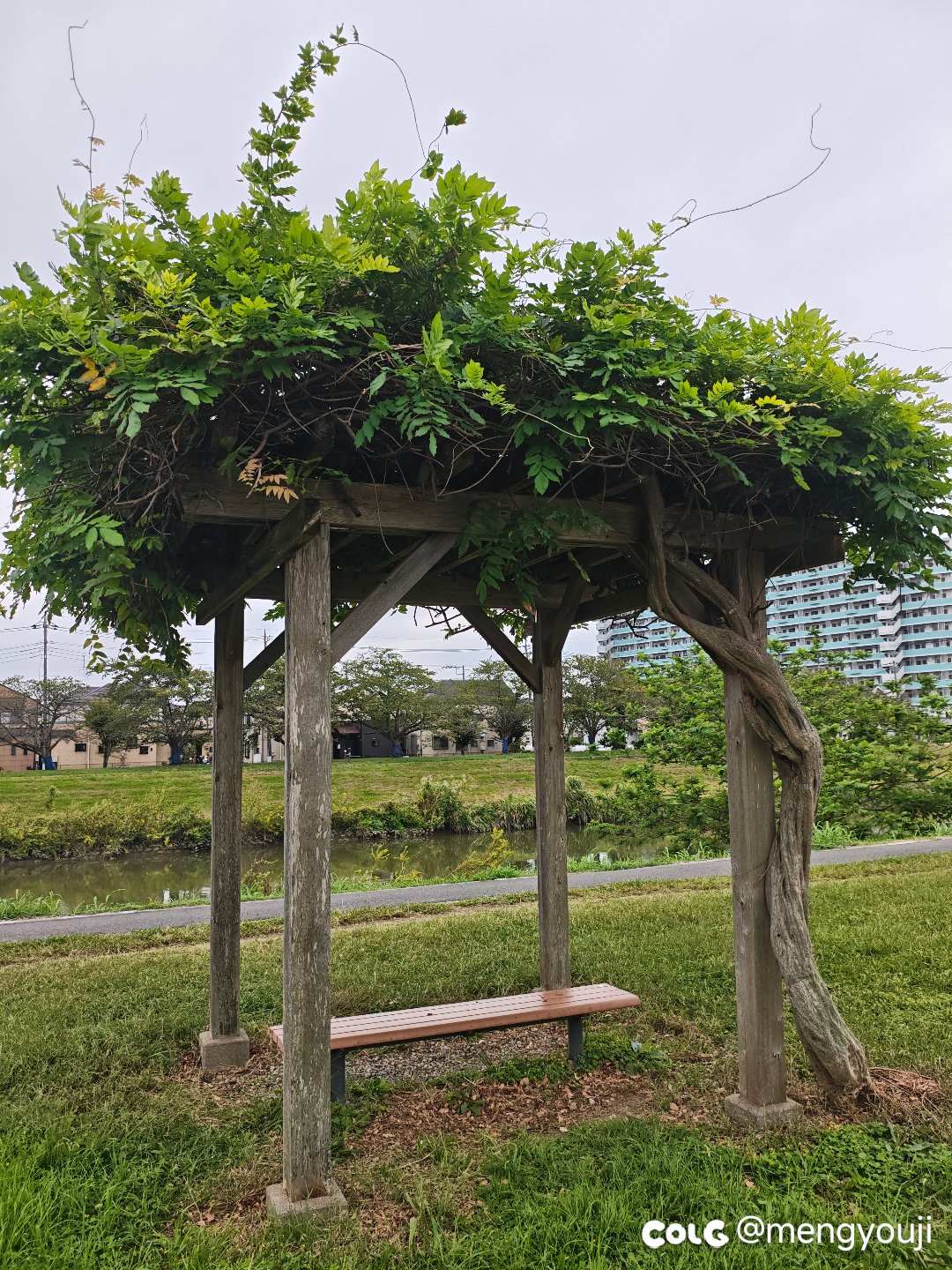 买了国庆套后竟然发现...1