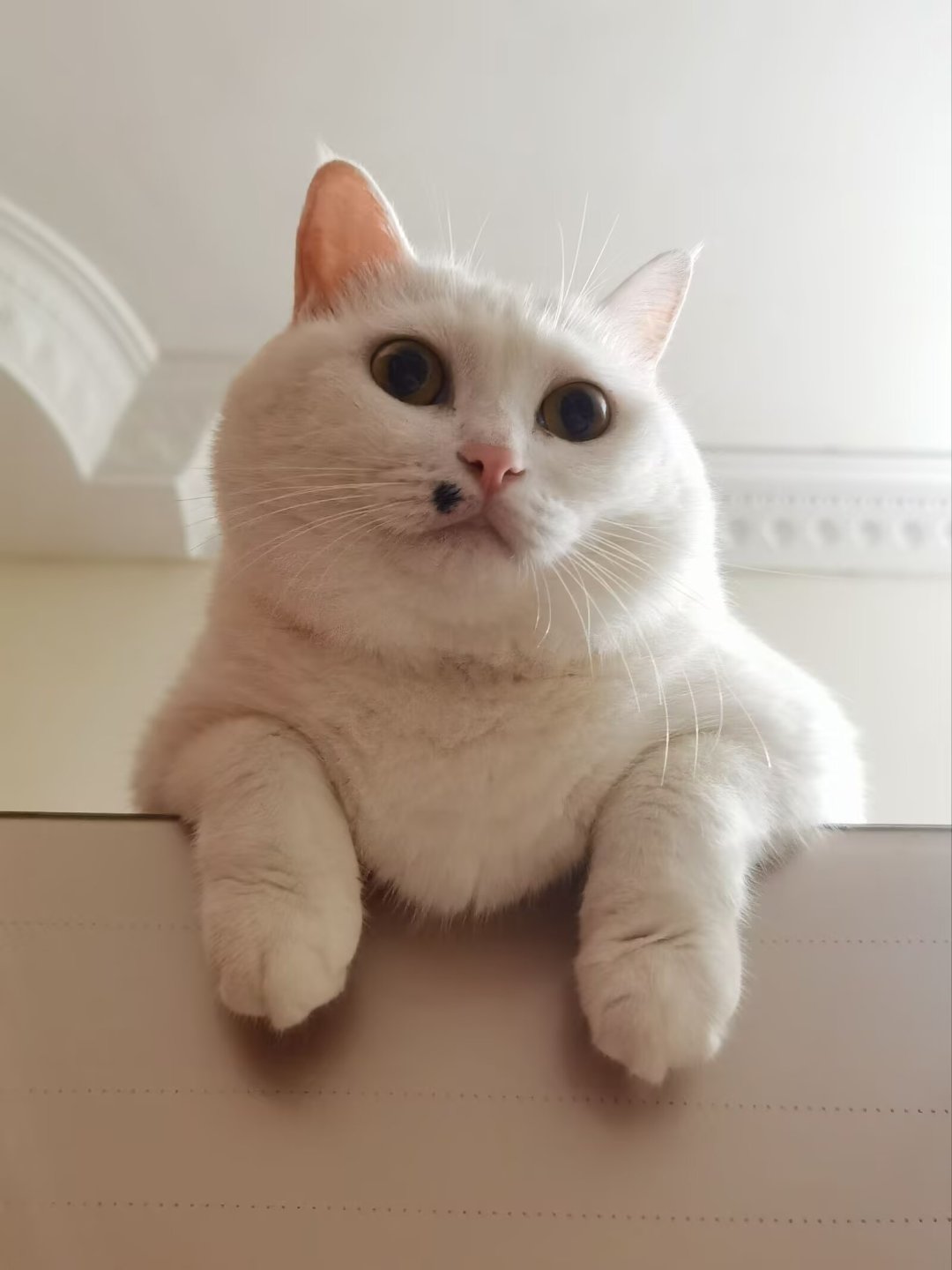 点开装备库，真的没绷住3