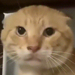 闪退到底要怎么解决啊1