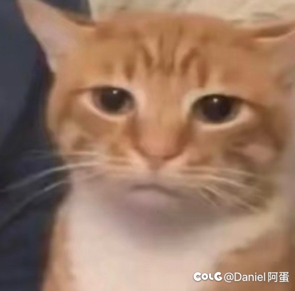 求求来点女格斗暖暖1