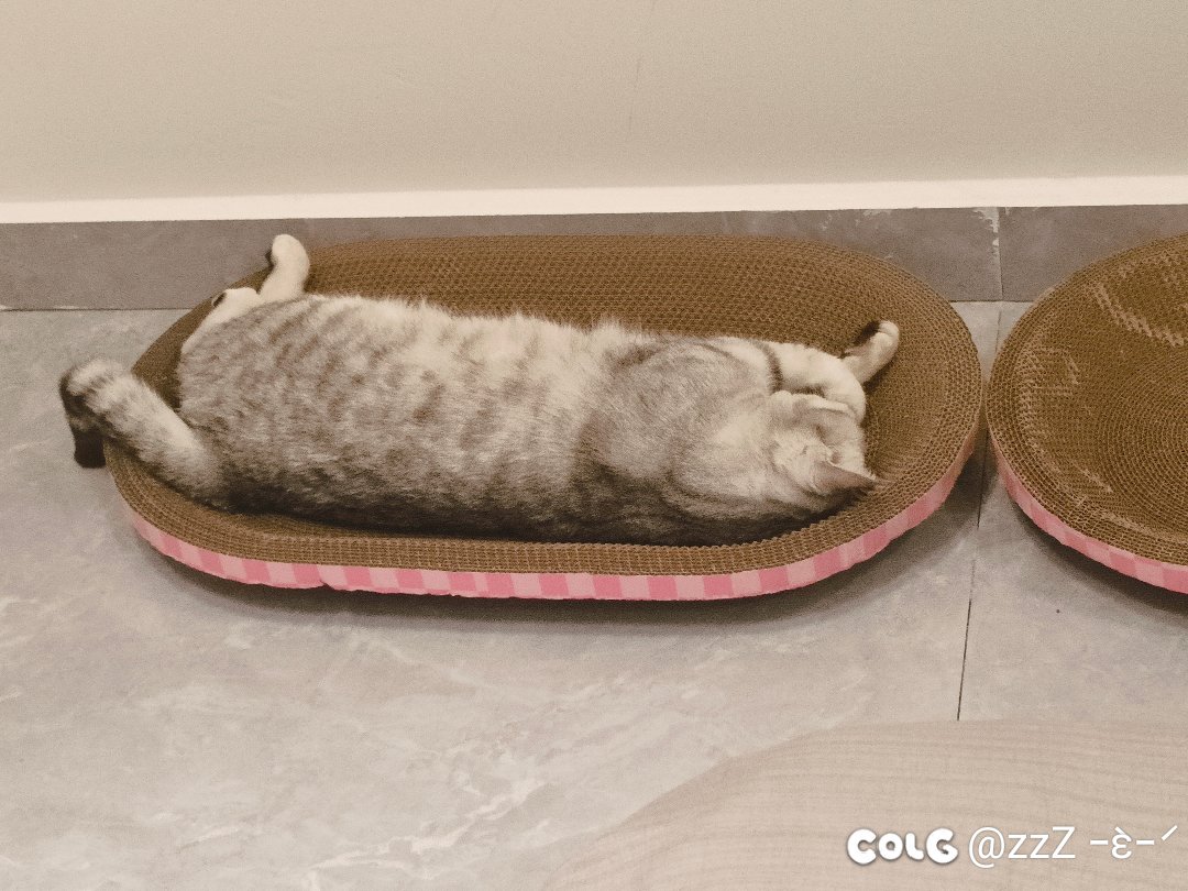 小团体是不是就意味着带混子1