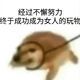 水贴 以前打的过因果现在打不过噩梦挑战1