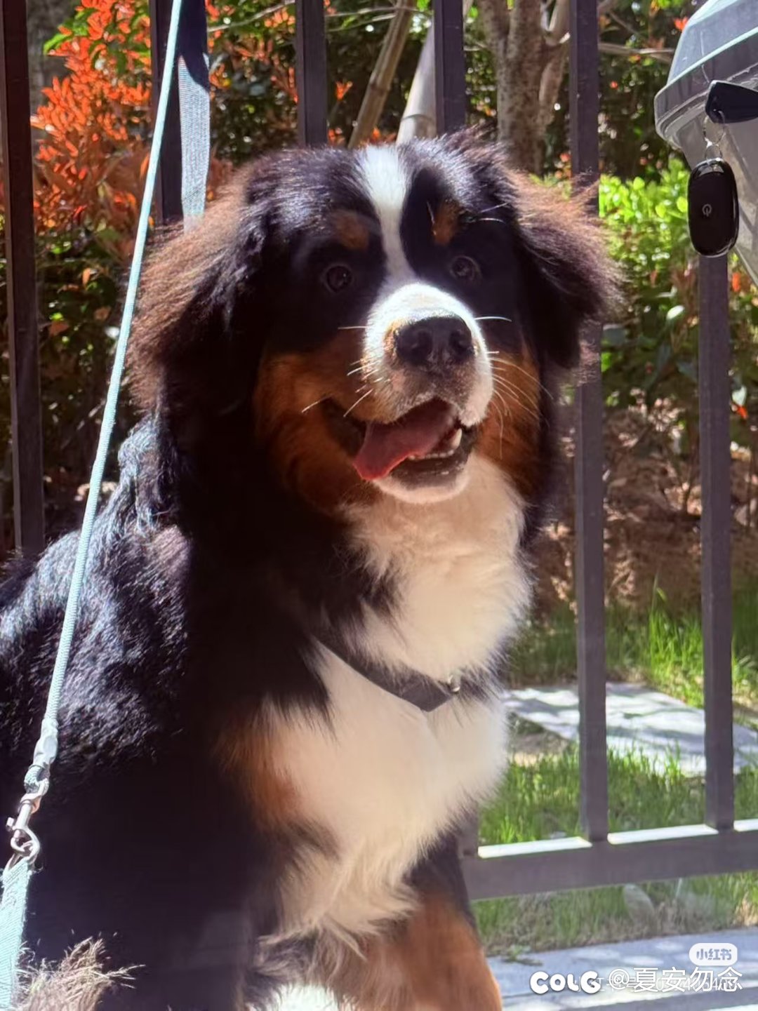 打野而不是打小团体的另一个原因1