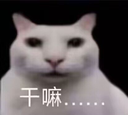 第五个黄金乡戒指3