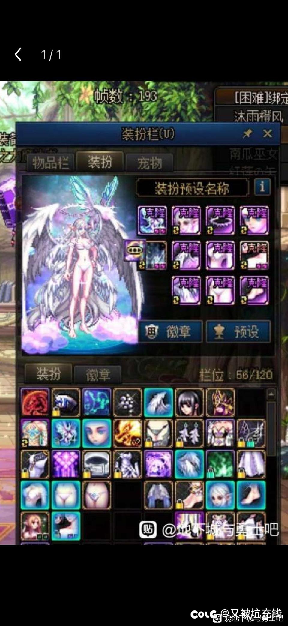 跪求女圣职大佬分析一波调料包1