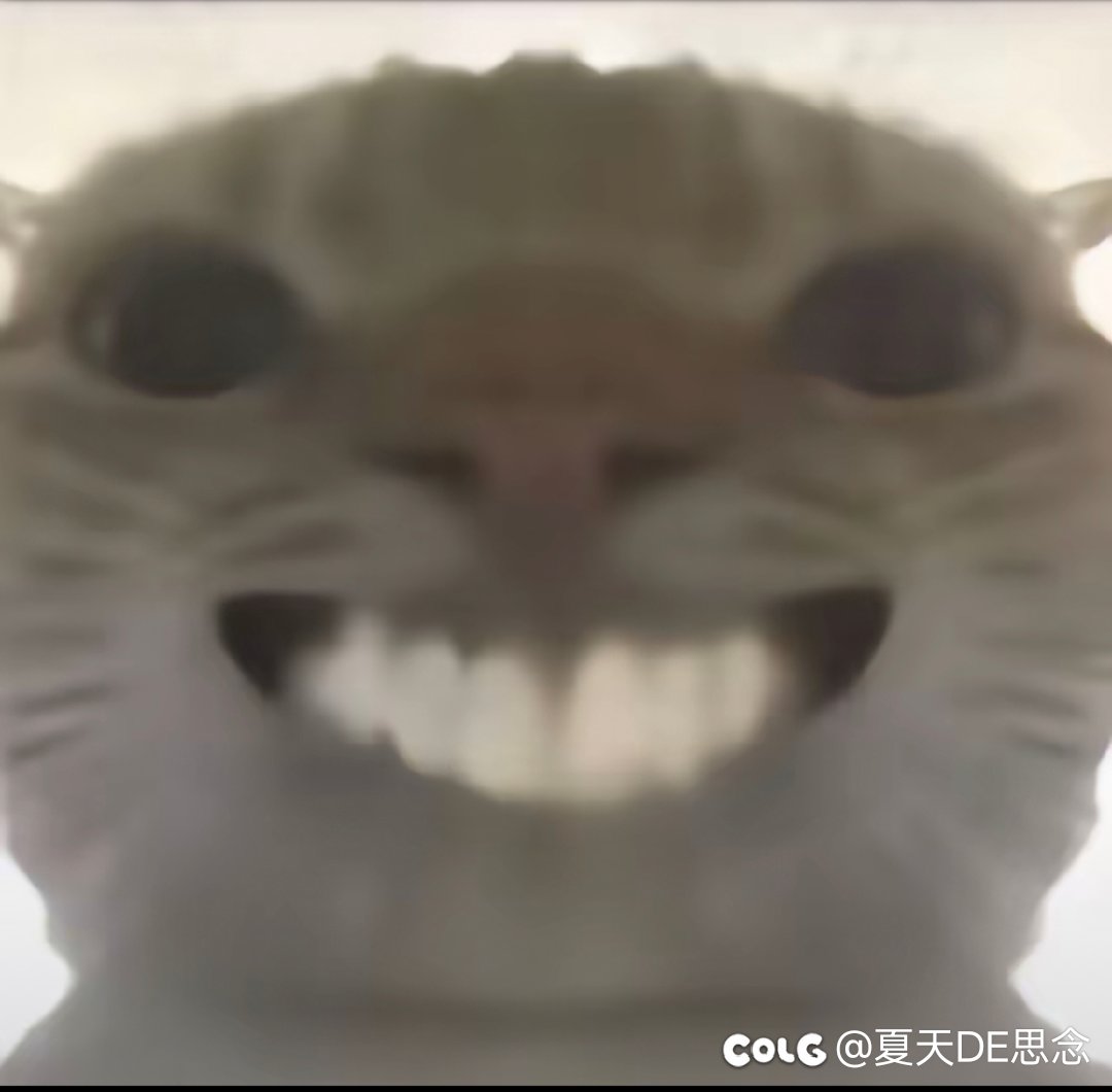 趁这次真三起源史低，花228补票上车了1