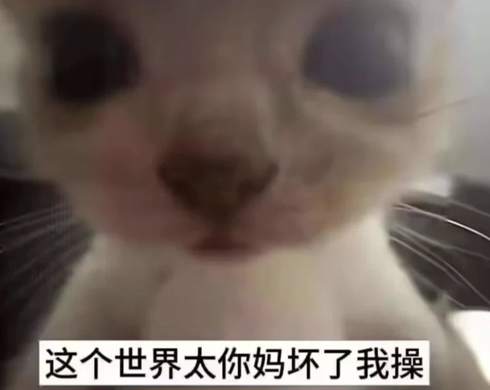 快一年了，有的人开局传世，有人至今制式1