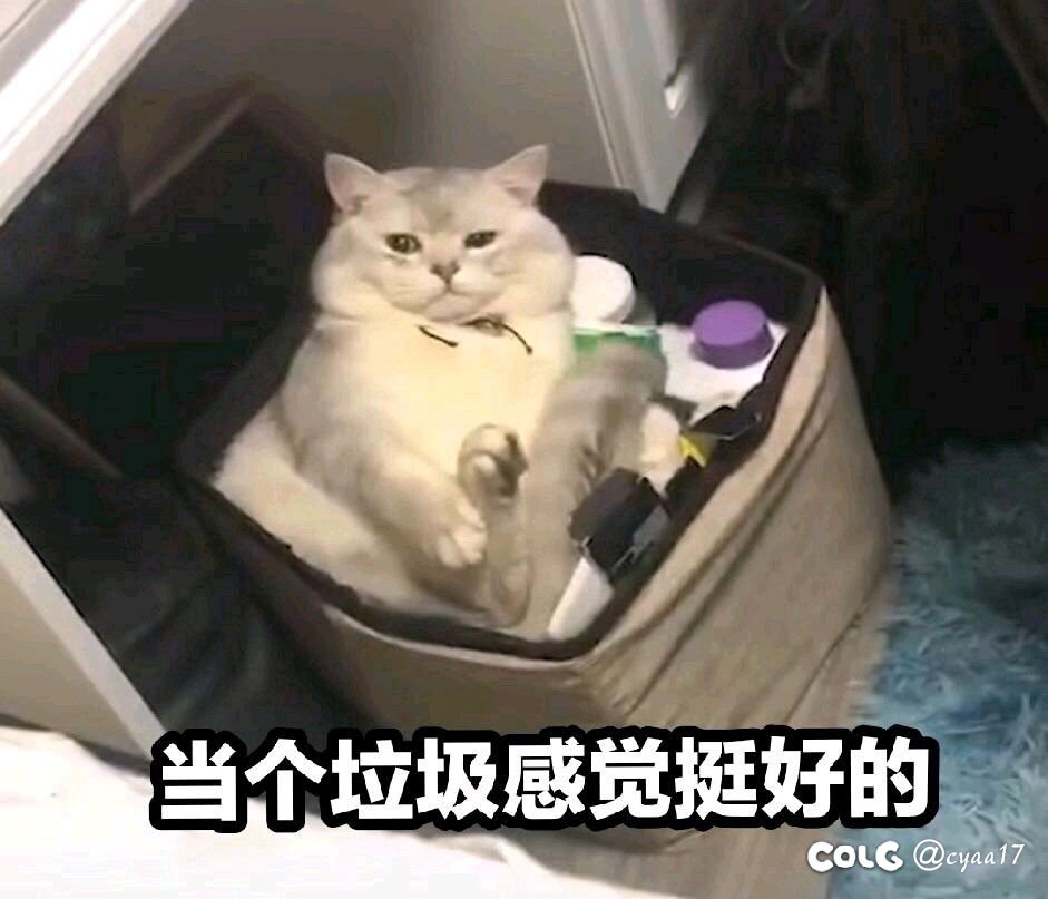 如果本次有转职书，元素转魔道或者召唤有没有搞头？1