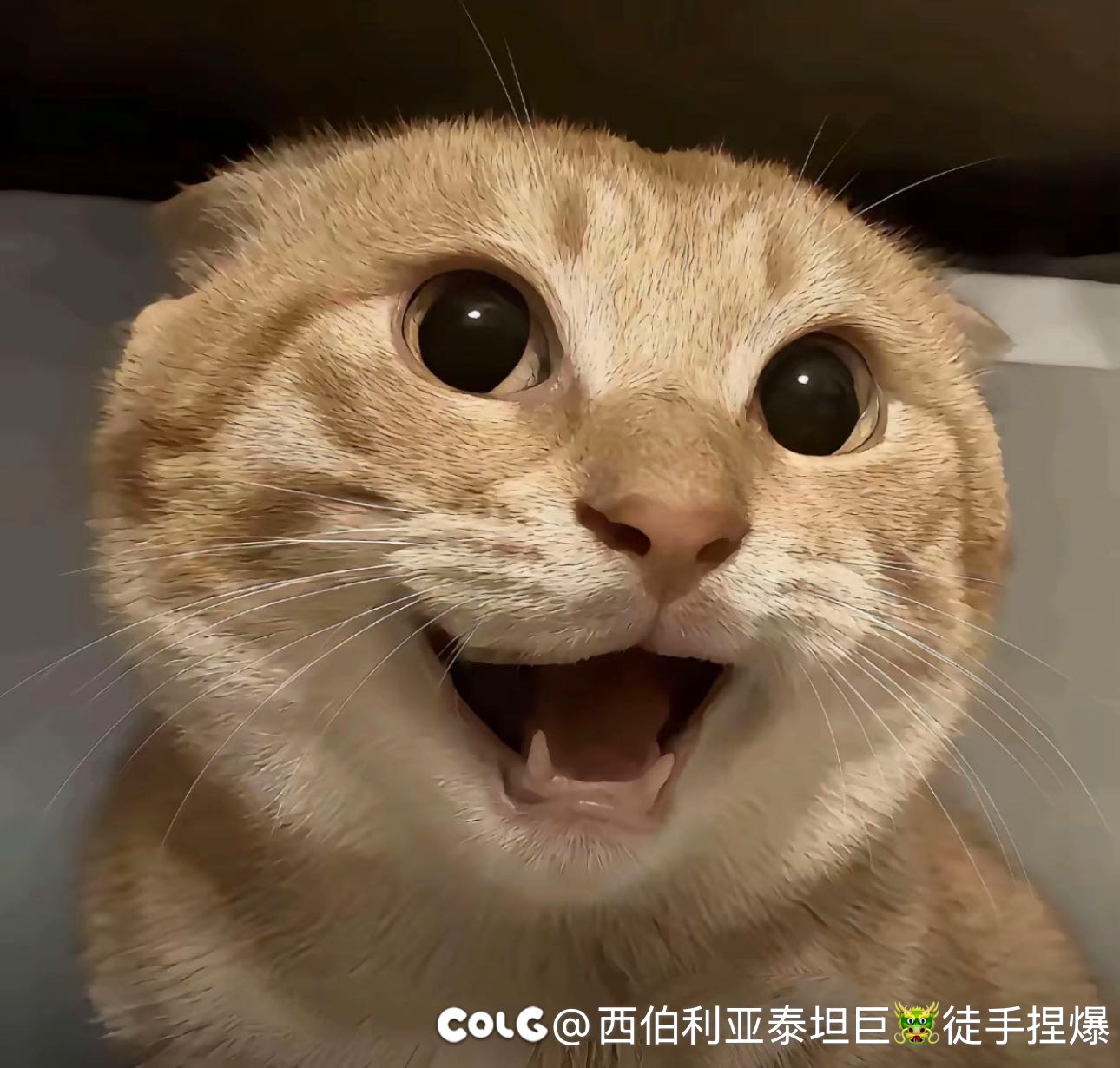 跨六大型交流群收人1