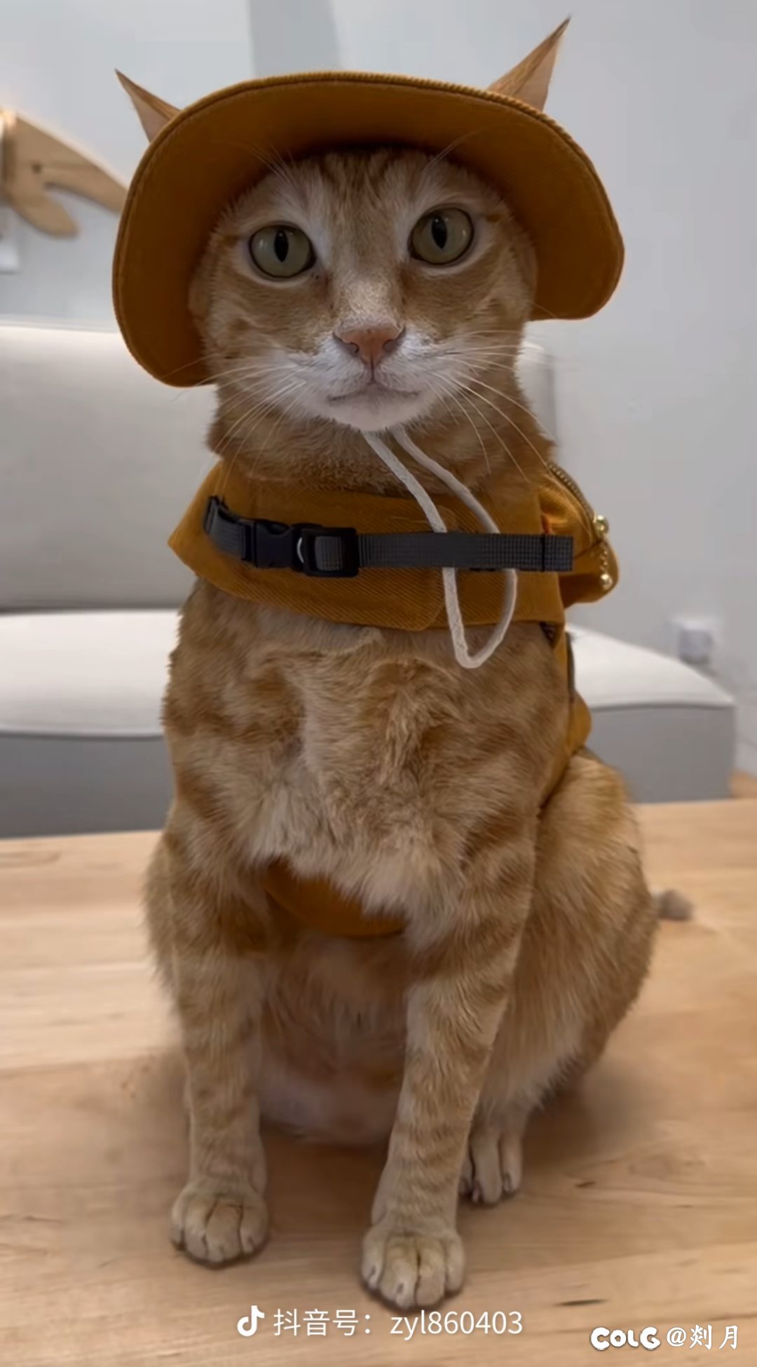 跨6满属性征服工会收活人2