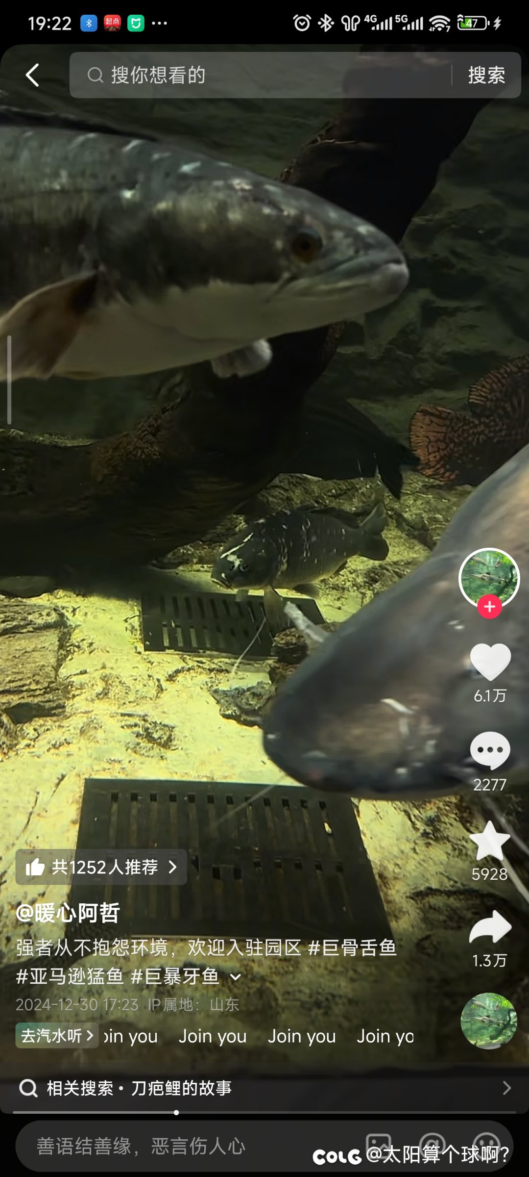 强者从不抱怨环境，哪怕它只是一条鲤鱼1