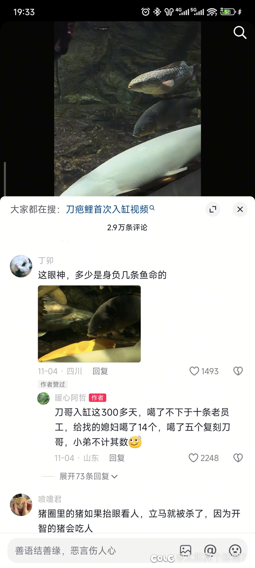 强者从不抱怨环境，哪怕它只是一条鲤鱼4