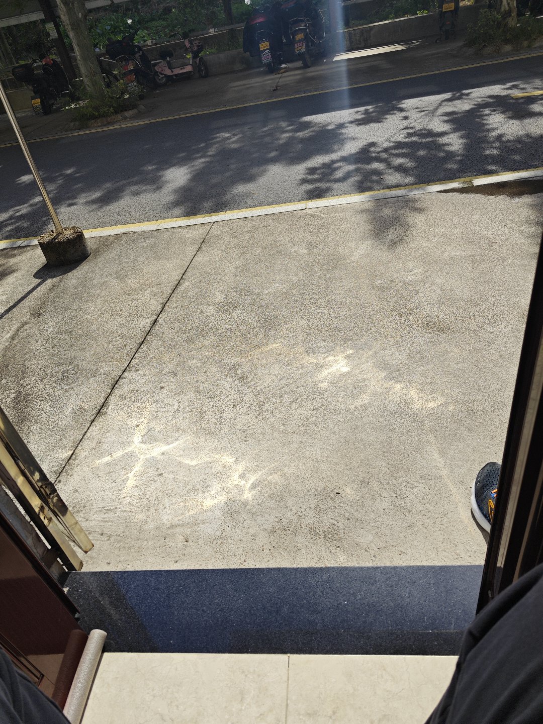 吃饱了，晒会太阳1