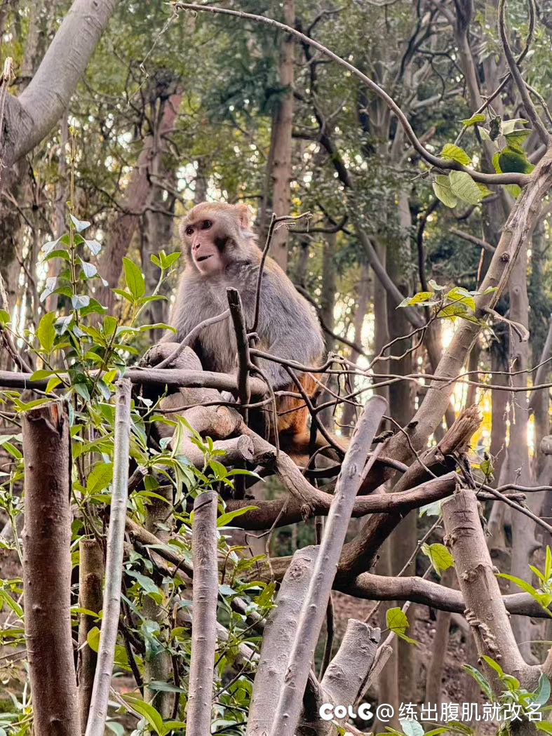 day1简单逛逛吃点1