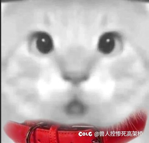 嘉年华流出的信息可以预言了1