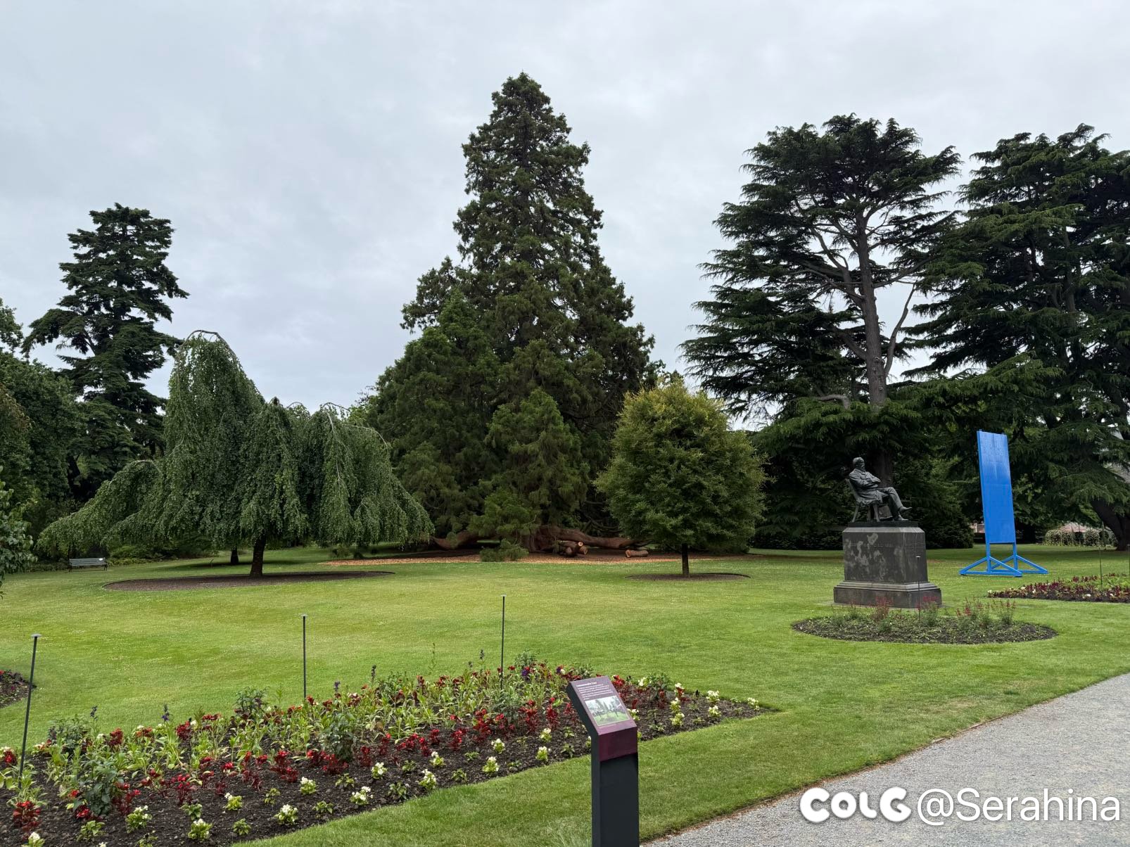 看看新ip（标题太短）2