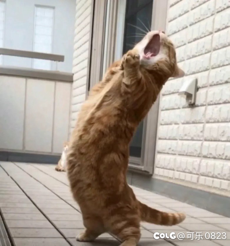 全身增幅13的C配多少的技工玉和入手时机求建议。1