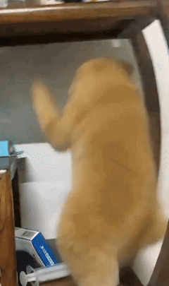 霍霍，这都能毕业的哦，也没人说这版本这么好玩的2