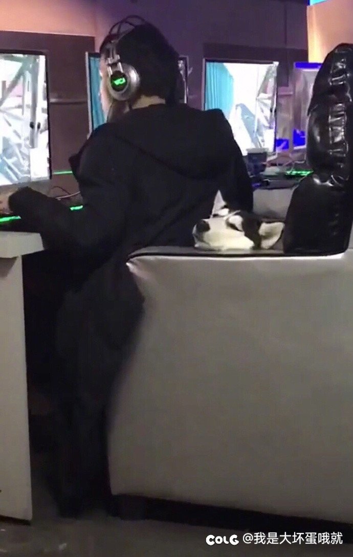 勋章淘汰的补偿一定要选龙珠！！！1