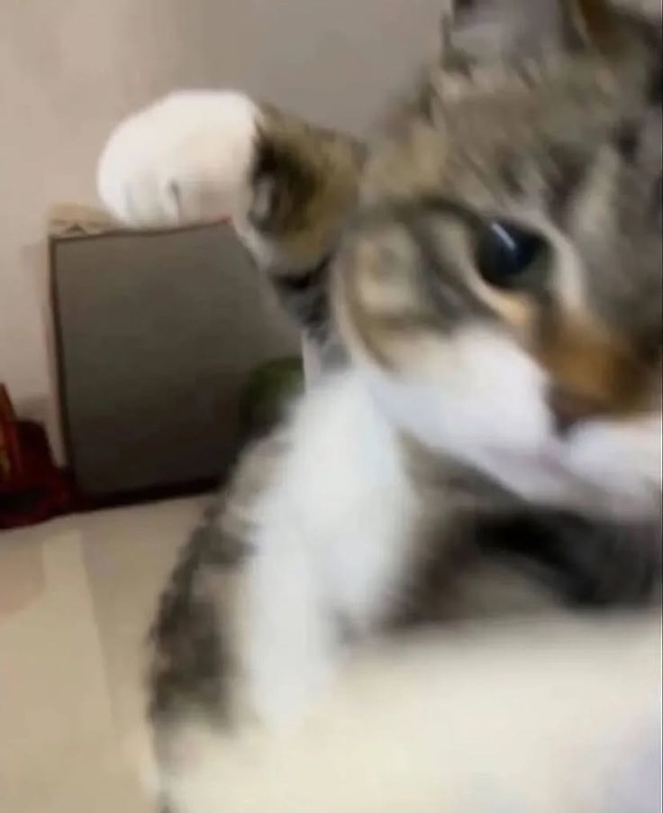 能不能出个奶系职业互转书1