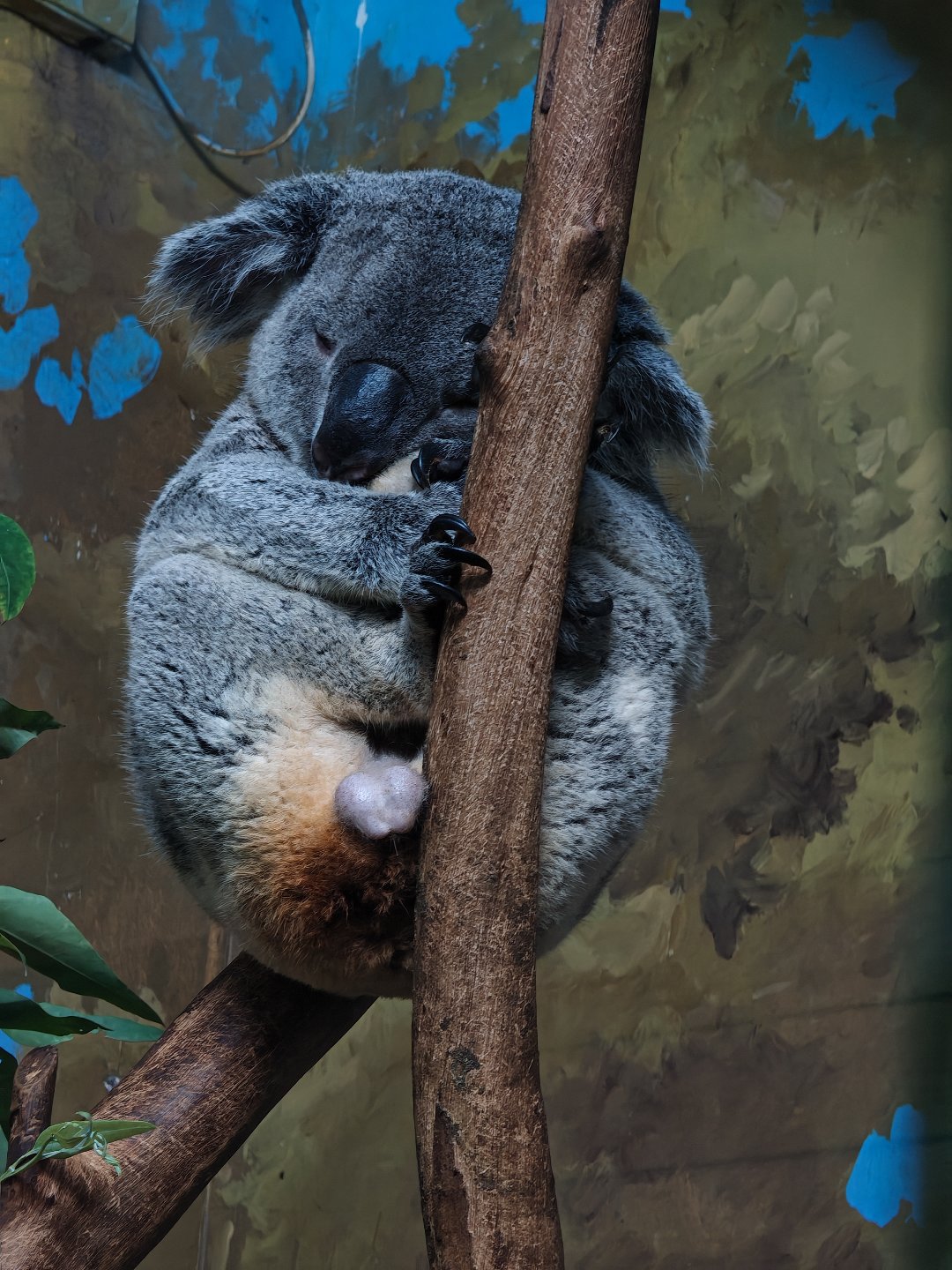 这版本的门槛难度已经算是很高了吧？1