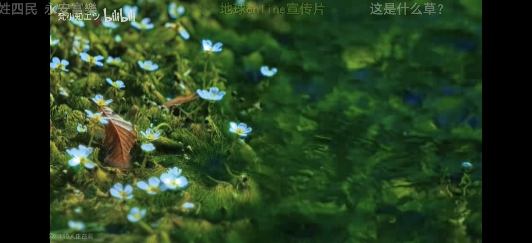 为何剧情立绘差分都不多见1